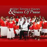 Terrence Haynes & V.O.P - @voicesofpraise1 - Instagram