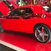 Terrence Holman - @terrence.holman - TikTok