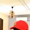 Terence kopogoterence7@gmail.c - @terencekopogo885 - TikTok
