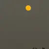 Terrence Long - @terrence.long37 - TikTok