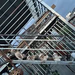 Terrence Lopez de Leon - @te.rrence2525 - Instagram