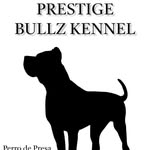 C.E.O Terence Lyons ( RICK ) - @pbk_prestige_bullz_kennel - Instagram