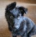 Terence Malone - Facebook