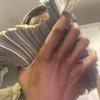 Terrence McNeil Jr. - @iluvv.exotic - TikTok