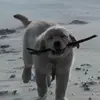 terencemarymeehan - @terencemarymeehan - TikTok