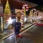Terence Miles Canlas - Facebook