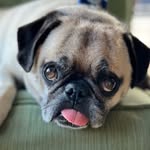 Terence Oneil - @toneilindy - Instagram