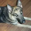 Terrence O'Neil - @terrence.oneil - TikTok