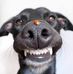 Terence Pierce - Facebook