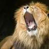 terencesims147 - @terencesims147 - TikTok