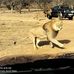 Terence Tracey - Facebook
