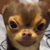 Terrence Whitaker - @terrence_whitaker - TikTok
