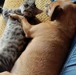 Terence White - Facebook