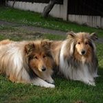 Terence White - @terence.white.50 - Instagram