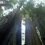 Teresa Acker Kinsner - @kinsnerteresa - Instagram