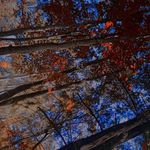 Teresa Ackerman - @tere.saowo - Instagram