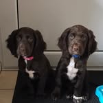 Teresa Akers - @teresa.akers.67 - Instagram
