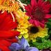 Teresa Tik Wen Aker - Facebook