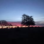 Teresa Applegate - @applegate.teresa - Instagram