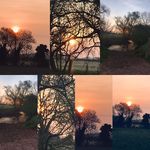 Teresa ballinger - @tbphotography74 - Instagram