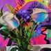Teresa Baumgartner - Facebook