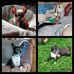 Teresa Beale - Facebook