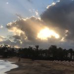 Teresa Beale - @tbeale55 - Instagram