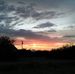 Teresa Beech - Facebook