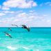 Teresa Beech Beasley, Realtor - Facebook