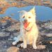 Theresa Beech - Facebook