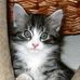 Theresa Beech - Facebook