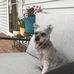 Theresa Biddle Vance - Facebook