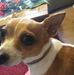 Teresa Buckner - Facebook