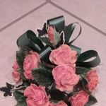 Teresa Burrows - @teresa.burrows.9484 - Instagram