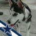 Teresa Cates - Facebook