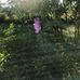 Teresa Cates - Facebook