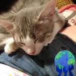 Teresa Cates - @teresa.cates.752 - Instagram