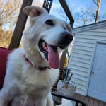Teresa Coates Foley-Pulley - @tfoley66 - Instagram