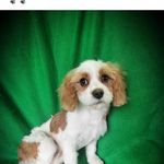 T Coco - @teresacocoman - Instagram
