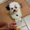 Teresa_coco123 - @olverateresa123 - TikTok