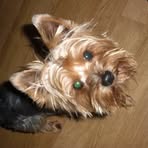 Teresa Collopy - Facebook