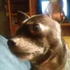 Teresa Cooley947 - @teresacooley3 - TikTok