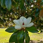 Teresa Cooley - Facebook