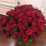 Teresa Cooley - @teresacooley1076 - Instagram