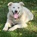 Teresa Correll - Facebook