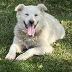 Teresa Correll - @correlltl - Instagram