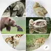 ms.teresa_counts_jones0 - @ms.teresa_counts_jones0 - TikTok