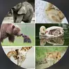ms.teresa_counts_jones - @ms.teresa_counts_jones - TikTok