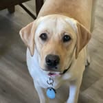 Teresa Cramer - @teresa.cramerpost - Instagram