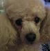 Theresa Dancy - Facebook